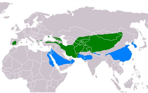 external image mapa-distribuicao.jpg